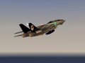 F14